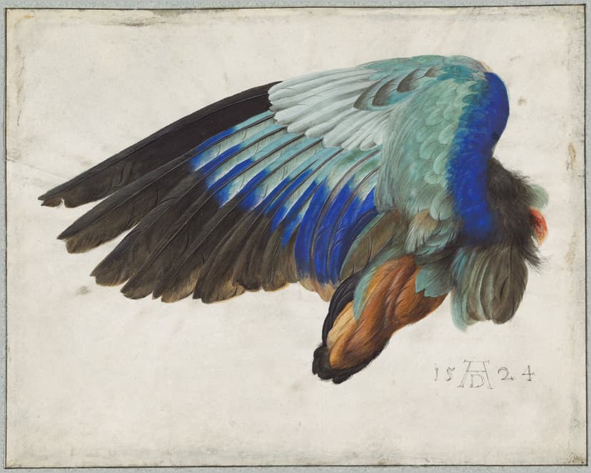 From Dürer to Matisse